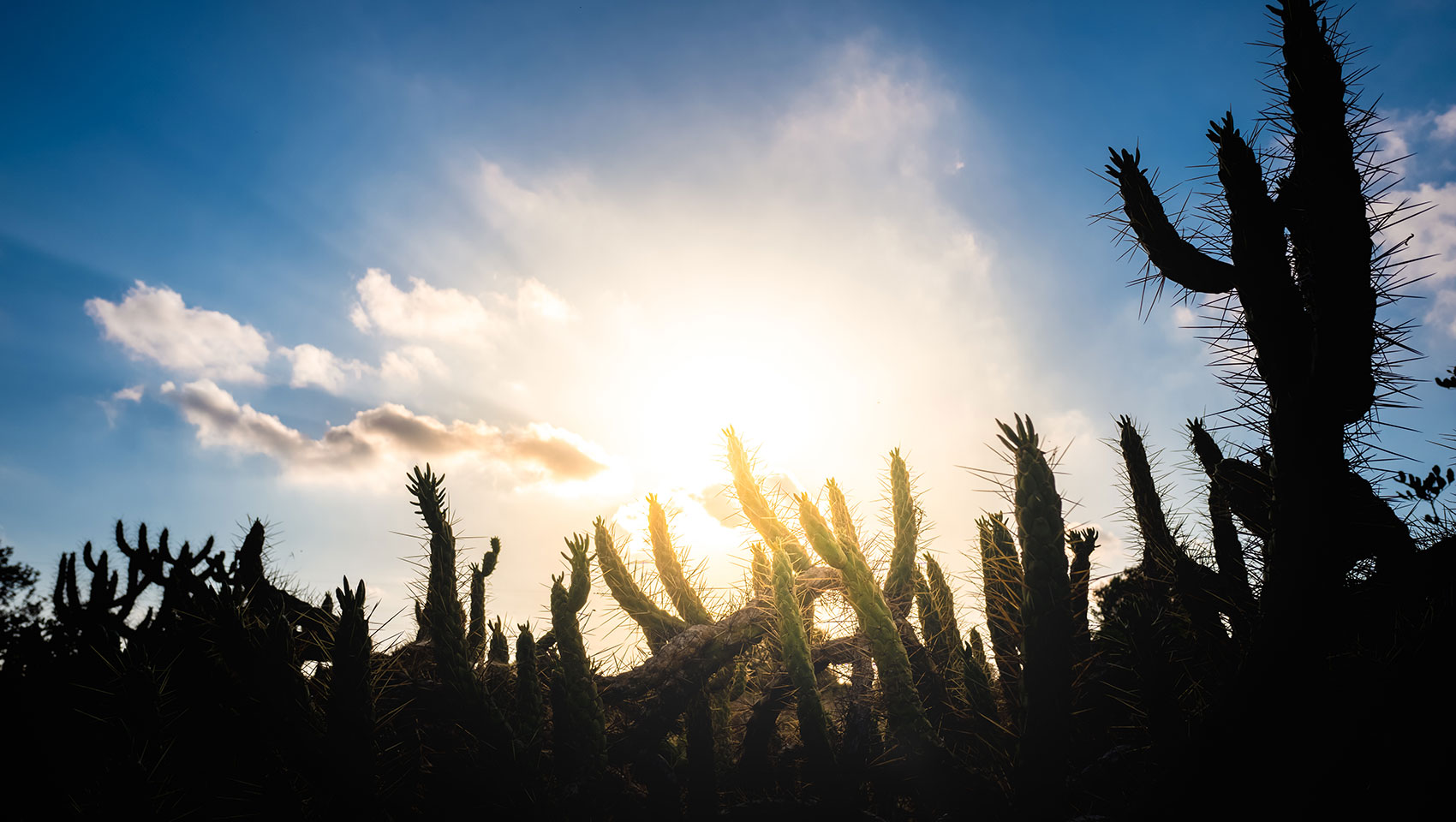 Desert landscape in shadows