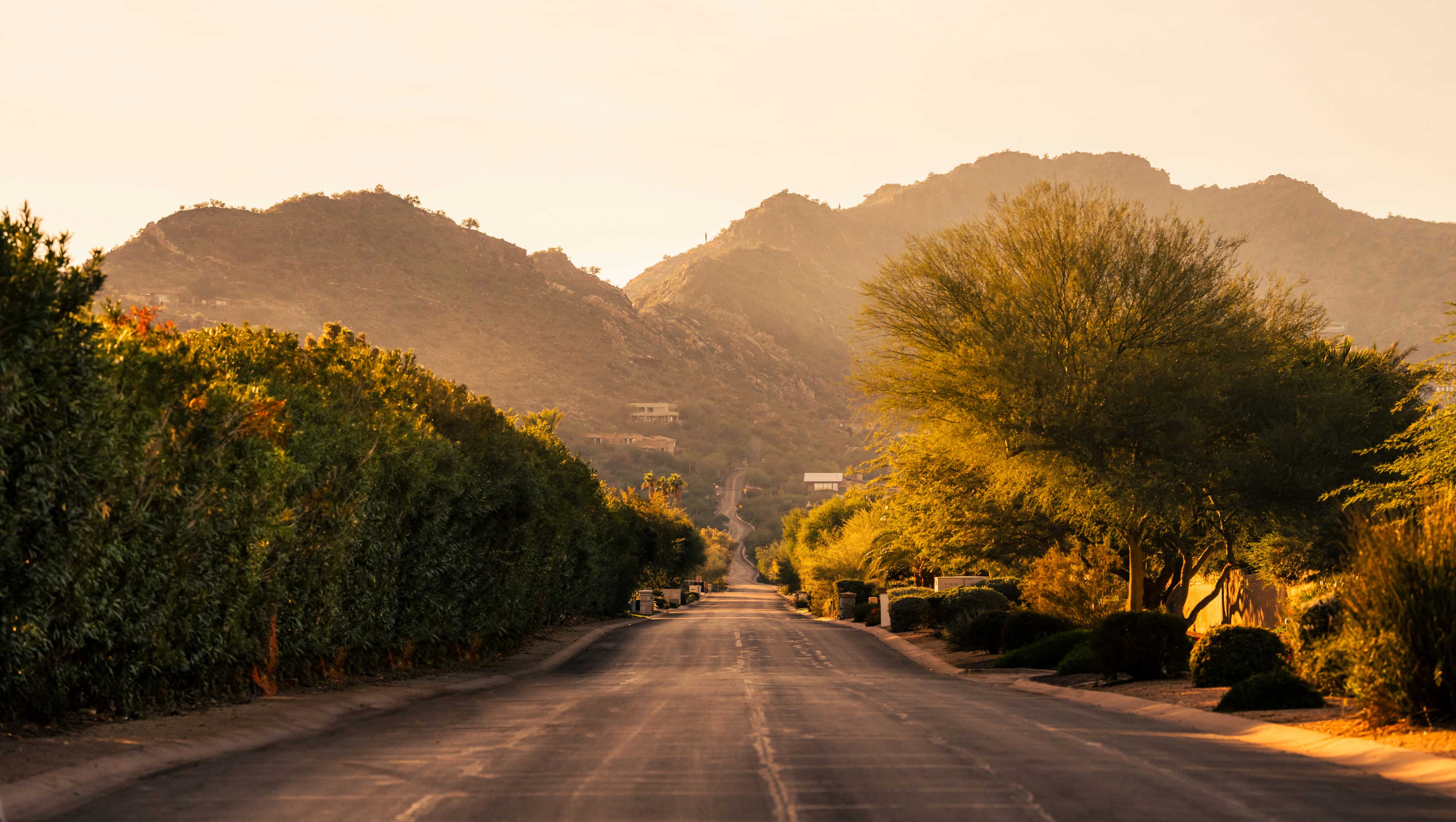 Road going through scottsdale