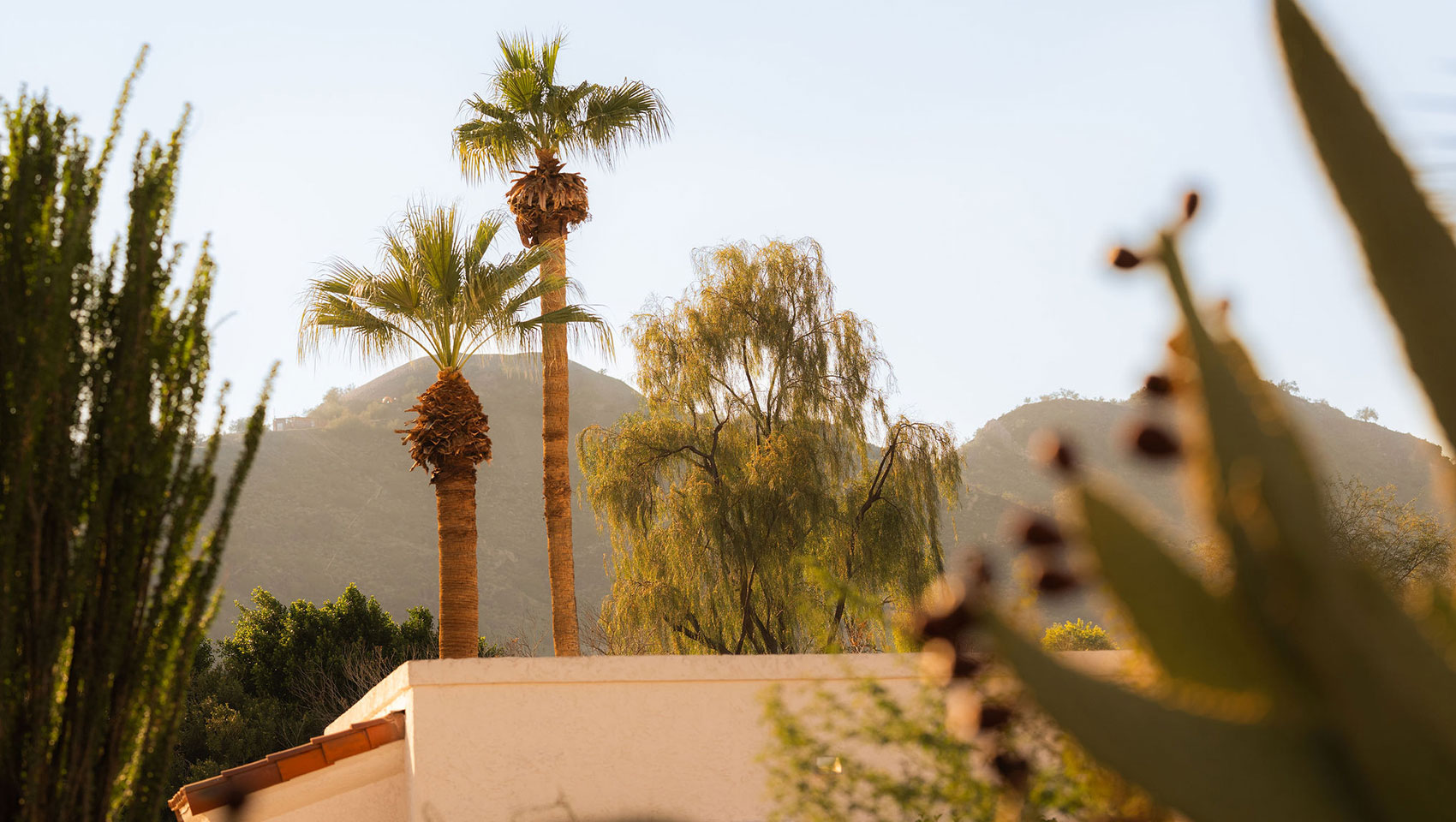 Desert mountains framed by landscaped resort pathways at Kimpton Miralina Scottsdale