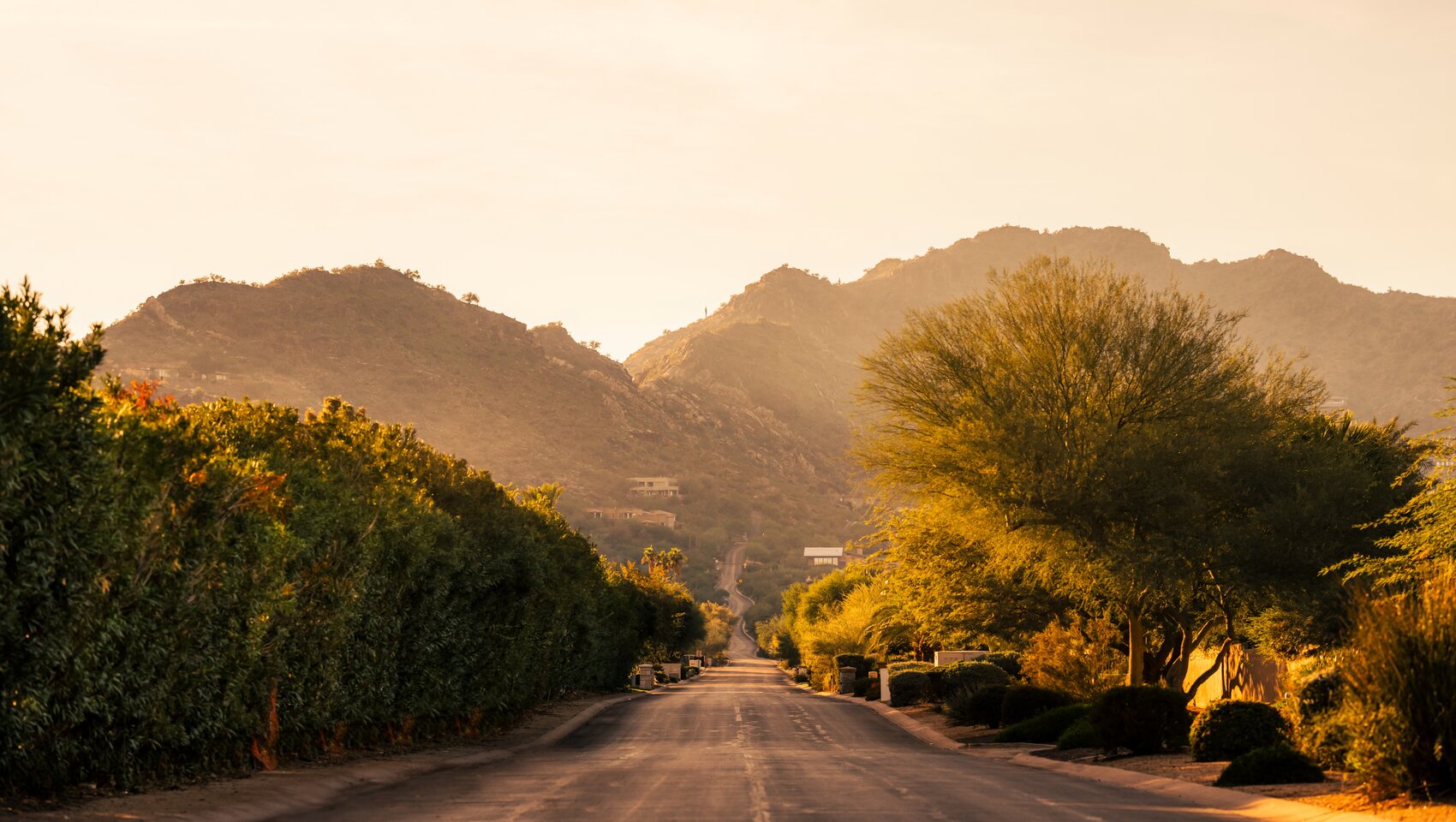 Entrance drive to Kimpton Miralina lined with desert plants and Scottsdale mountain scenery