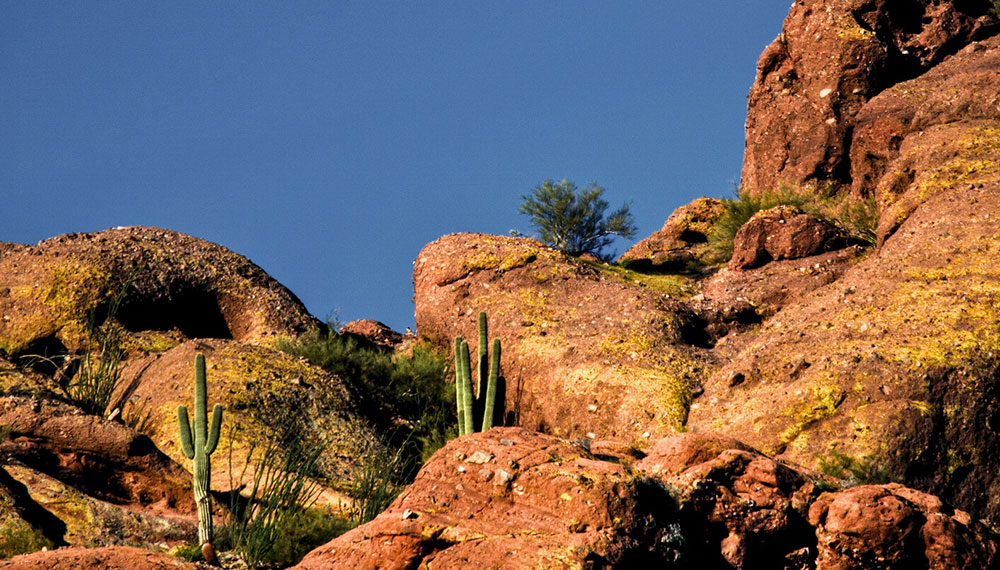 Desert Valley hiking