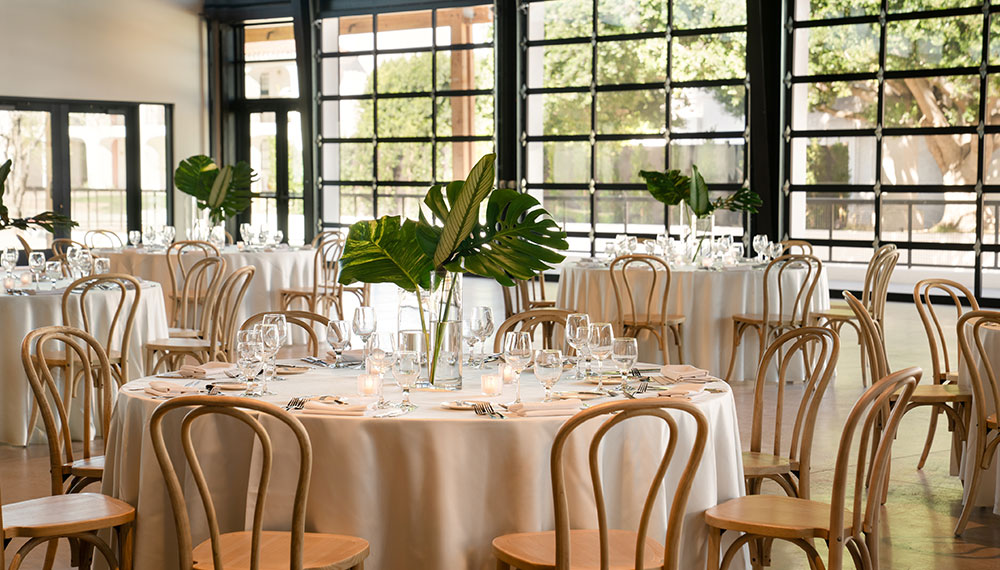 social reception