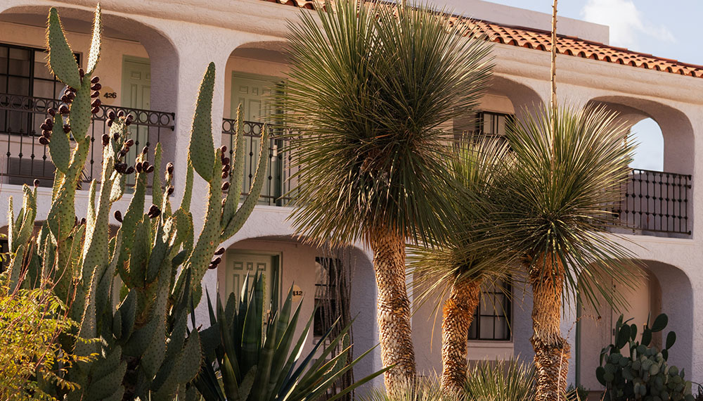 Miralina exterior