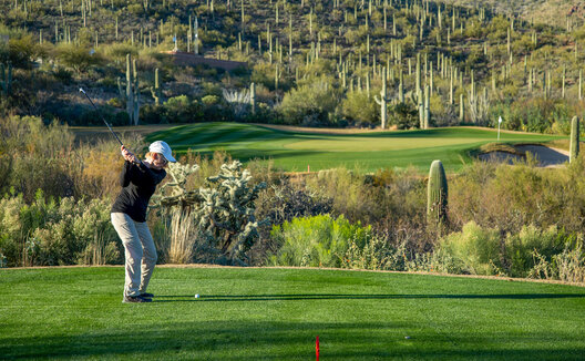 Man golfing